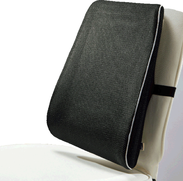 NEW 3d Mesh Lumbar Support Back Rest Cushion - This versatile cushion gives relief from aches and pains when sitting for long periods of time.  Ergonomic shape for an anatomically designed sitting postur