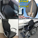 Spine Correct' Lumbar Support Cushion