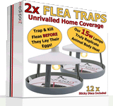 2x ULTIMATE FLEA TRAPS - Includes 12 Sticky Discs