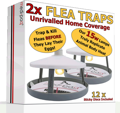 2x ULTIMATE FLEA TRAPS - Includes 12 Sticky Discs